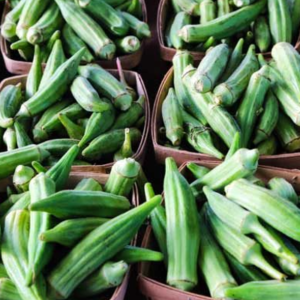 Okra