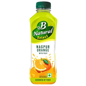 B Natural Fruits N Bits Orange Fruit Juice