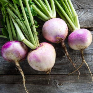 turnip